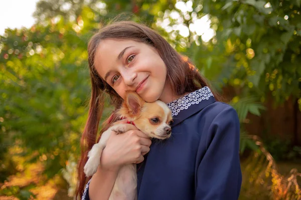 Flickan Gläds Att Hon Kramar Chihuahua Tonårstjej Med Hund Människan — Stockfoto