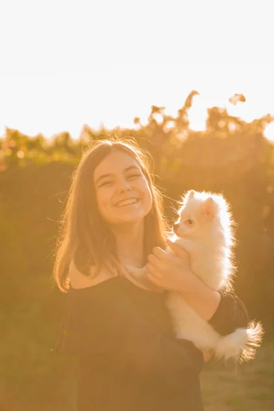 Girl Her Arms White Spitz Dog Animals Pets People Teenager — Stockfoto