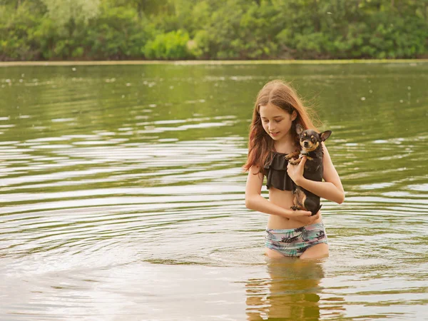 Adolescentă Câine Tanara Fata Chihuahua River — Fotografie, imagine de stoc