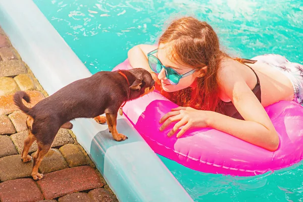 Animale Companie Proprietar Fată Ochelari Piscină Înoată Într Însorită Vacanță — Fotografie, imagine de stoc