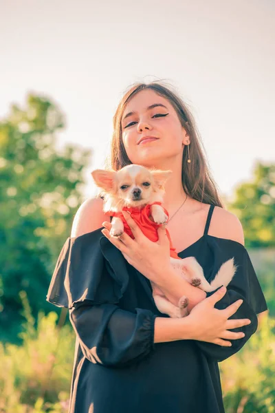 Ein Teenager Mädchen Mit Einem Chihuahua Hund Auf Dem Arm — Stockfoto