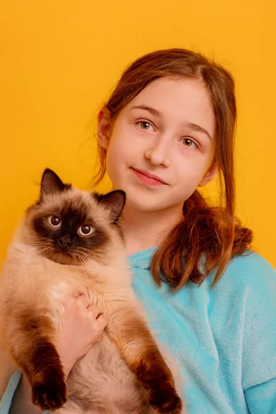 Une Adolescente Avec Chat Enfant Avec Animal — Photo