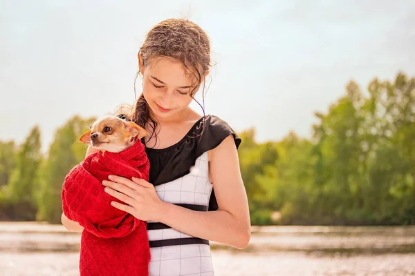 Piękna Dziewczyna Nad Rzeką Nastolatka Dziewczyna Chihuahua Pies Jej Ramiona — Zdjęcie stockowe
