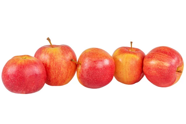 Apples Isolated Red Apples White Background — Stock fotografie