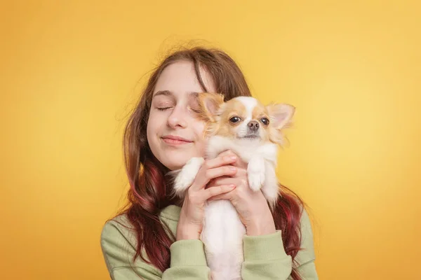 Tonårstjej Med Hund Chihuahua Rasen Gul Bakgrund Flicka Och Vit — Stockfoto