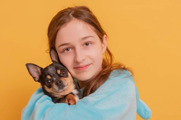 Chihuahua Teenager Girl Black Chihuahua Dog Her Arms — Stockfoto