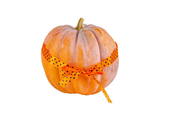 Pumpkin Tied Orange Ribbon Orange Pumpkin Halloween — Stock Photo, Image