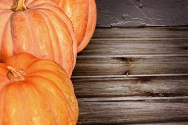 Hasat edin, balkabakları. Siyah arka planda üç olgun turuncu balkabağı.