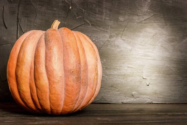 Ernte Halloween Orangefarbener Kürbis Auf Dunklem Hintergrund — Stockfoto