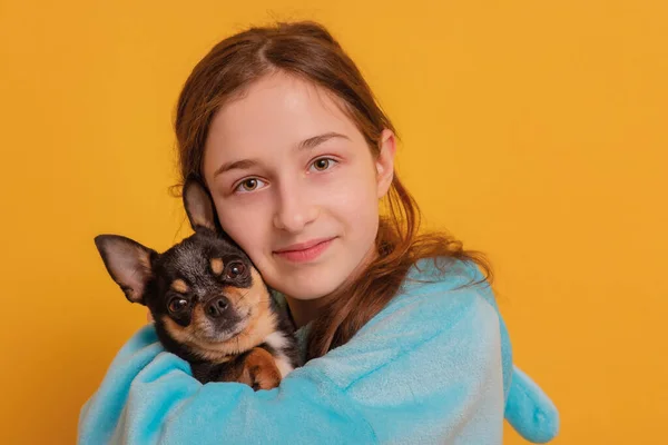 Uma Rapariga Capuz Azul Abraça Cão Adolescente Chihuahua Preto Fundo — Fotografia de Stock
