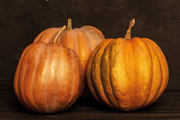 Tres Calabazas Sobre Fondo Negro Concepto Halloween Fotos de stock