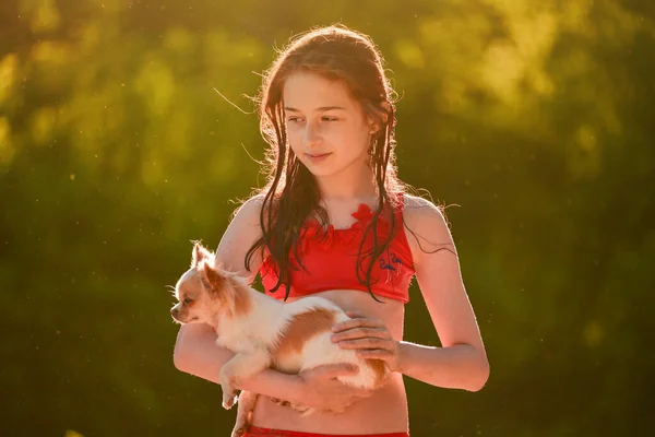 Uma Rapariga Chihuahua Perto Rio Uma Adolescente Fato Banho Vermelho — Fotografia de Stock