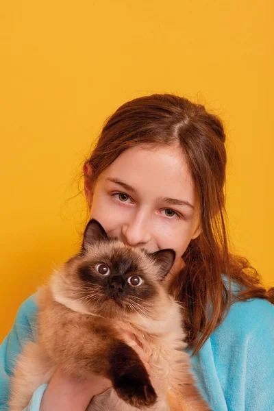 Dívka Její Koťátko Dospívající Dívka Modré Mikině Roztomilou Kočkou Náručí — Stock fotografie