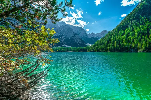 Знамените Озеро Прагс Магічною Зеленою Водою Доломітах Італії Ліцензійні Стокові Зображення