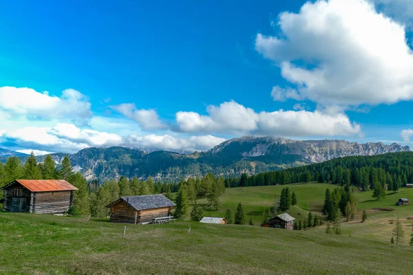 Pra Armentara Randonnée Long Des Prairies Alpines Armentara Tyrol Sud — Photo