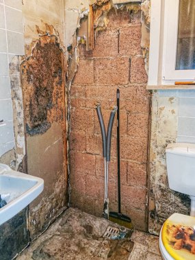 Çürümüş eski bir banyoda, duvarları kiremitlerle kaplı bir çiğ tanesi.