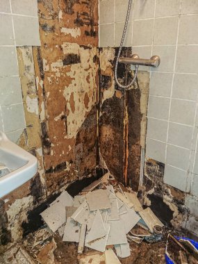 Çürümüş eski bir banyoda, duvarları kiremitlerle kaplı bir çiğ tanesi.