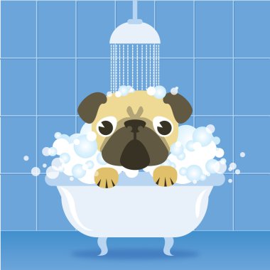 Banyoda komik pug