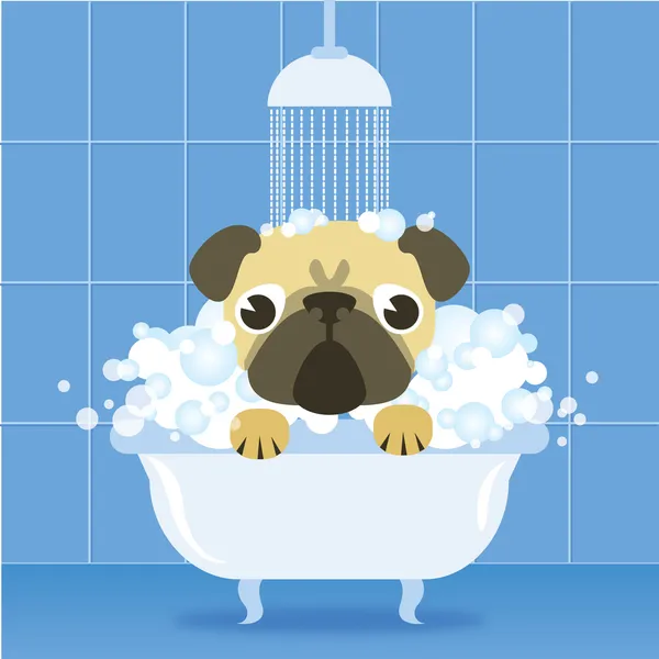 Funny pug en el baño — Archivo Imágenes Vectoriales