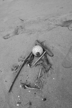 Torre del lago serbest plajında yüzüyor.