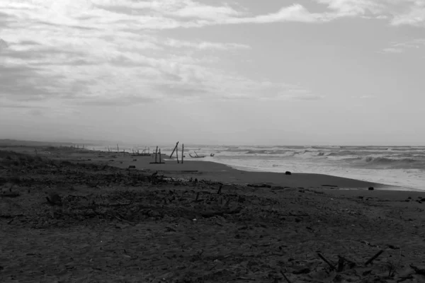 Uitzicht Torre Del Lago Vrij Strand — Stockfoto