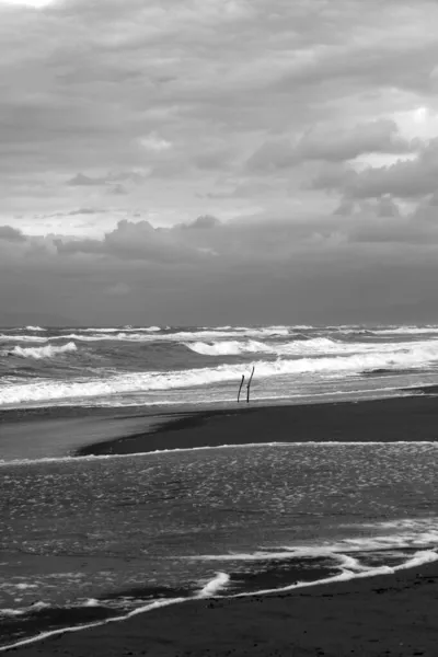 Vue Sur Plage Libre Torre Del Lago — Photo