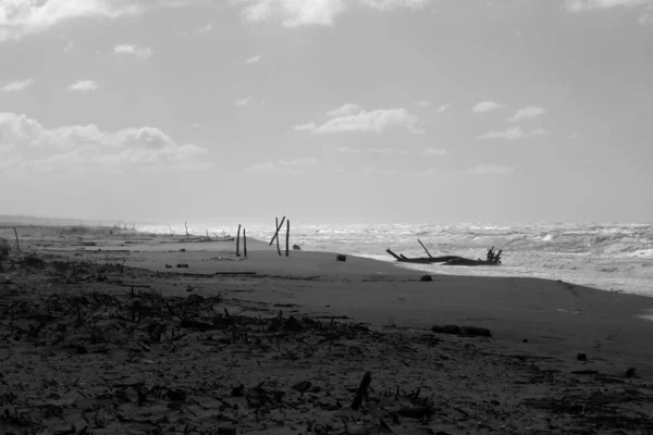 Uitzicht Torre Del Lago Vrij Strand — Stockfoto