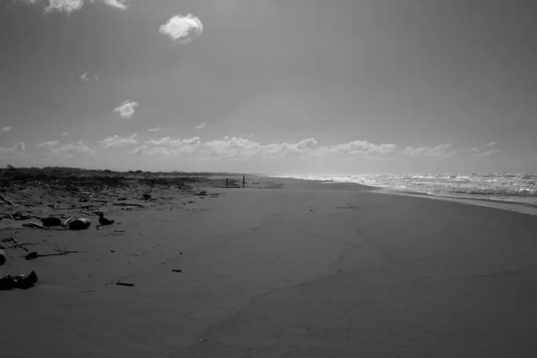 Vue Sur Plage Libre Torre Del Lago — Photo