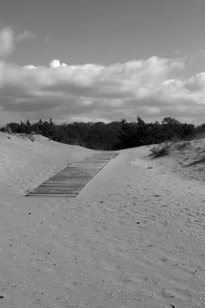 Dune Τρόπους Στο Torre Del Lago — Φωτογραφία Αρχείου