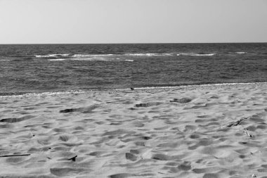 Serchio Nehri 'nin Ağzı