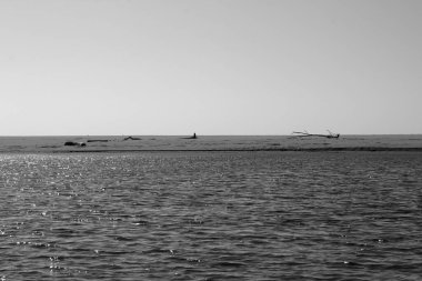 Serchio Nehri 'nin Ağzı