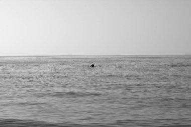 Torre del Lago, İtalya 'da farklı balıkçılık teknikleri gösteren balıkçılar