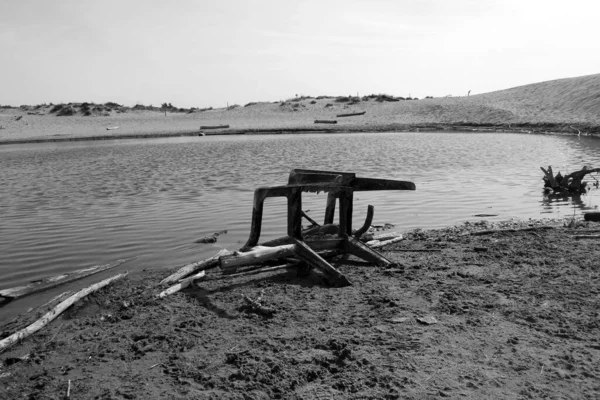 Contaminación Ambiental Torre Del Lago —  Fotos de Stock