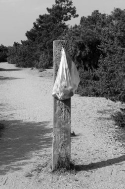 Torre del Lago 'da çevre kirliliği