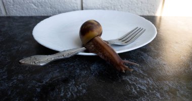 Büyük bir akhatina salyangozu beyaz bir tabakta çatalla sürünüyor..