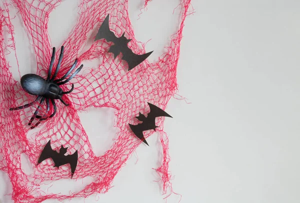 一只大玩具黑色蜘蛛和蝙蝠在白色背景上的红色蜘蛛网上 万圣节概念 — 图库照片