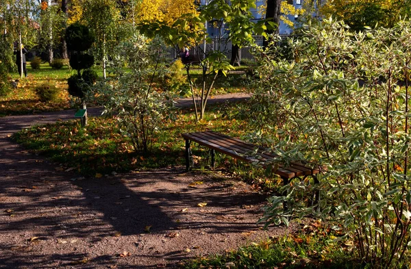 茂みに囲まれた秋の公園の木のベンチ — ストック写真