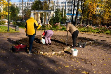 Sonbaharda toprağa lale soğanı dikmek. Kıştan önce laleleri soymak. Bahçede sonbahar işi. Çiçek tarhının bakımı.