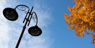 Mavi bir arka planda lamba ve sonbahar yaprakları.