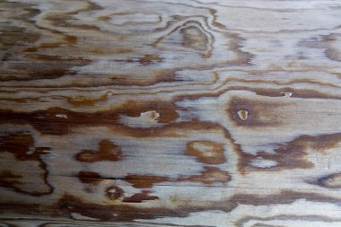 Eski benekli ahşap arka plan yakın plan.