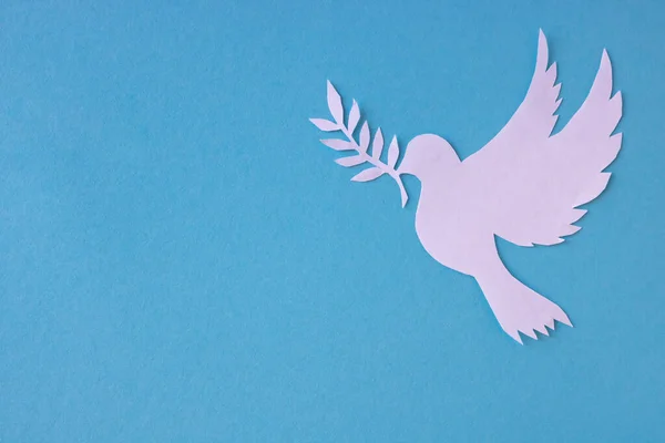 A white dove cut out of paper for the background of the World Peace Day. World Science Day for Peace and Development. place for your text.