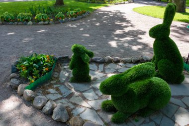 Yeşil çimen ve çalılardan oluşan şirin bir tavşan ailesi şeklinde dekoratif bir yapı. Parktaki dekorasyon, dekoratif figürler.