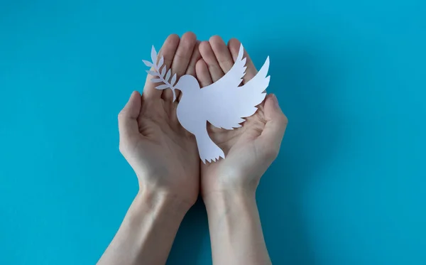 Mavi arka planda beyaz kağıt bir güvercin tutan eller. Dünya Barış Günü. Dünya Barış ve Kalkınma Bilim Günü.