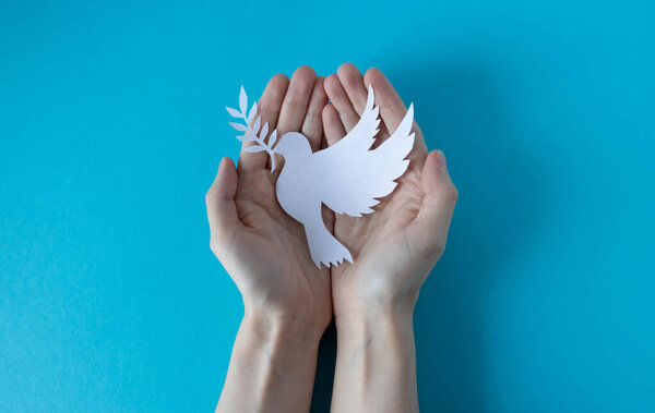 Hands holding a paper white pigeon on a blue background. World Peace Day. World Science Day for Peace and Development