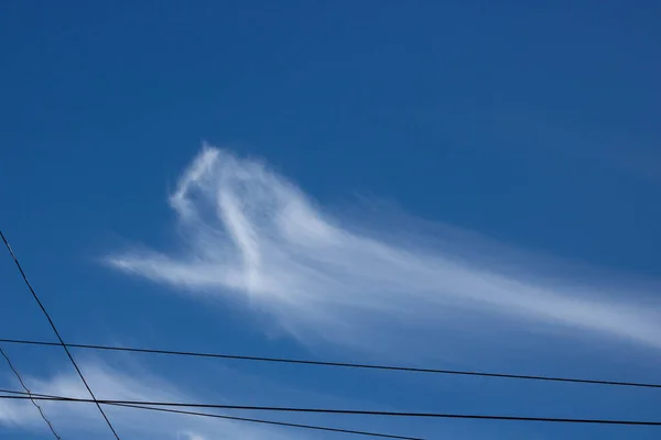 Blauer Himmel Mit Kabeln Ungewöhnliche Zirruswolken Blauen Himmel — Stockfoto