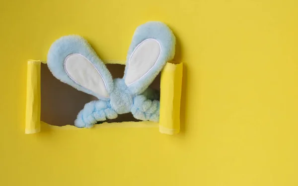 黄色背景 有一个蓝色兔子耳朵的洞伸出来 复活节概念 — 图库照片