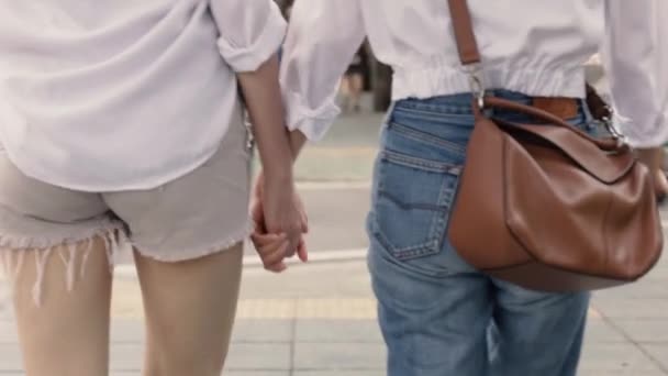 Šťastné Asijské Lesbičky Páry Držící Ruce Těší Cestování Thajsku Krásné — Stock video