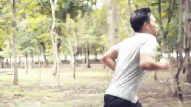 Halka Açık Parkta Koşan Otantik Asyalı Adam Sporcu Egzersiz Sağlıklı — Stok video