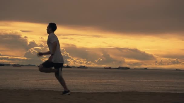 Silhouette Athlete Running Exercise Beach Beautiful Golden Sky Summer Healthy — Stock Video