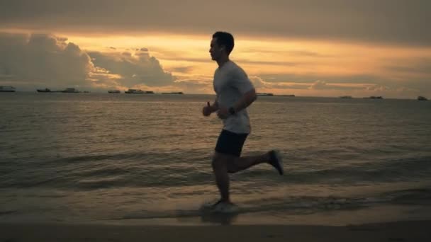 Silueta Hombre Deportivo Corriendo Por Playa Mientras Pone Sol Verano — Vídeo de stock